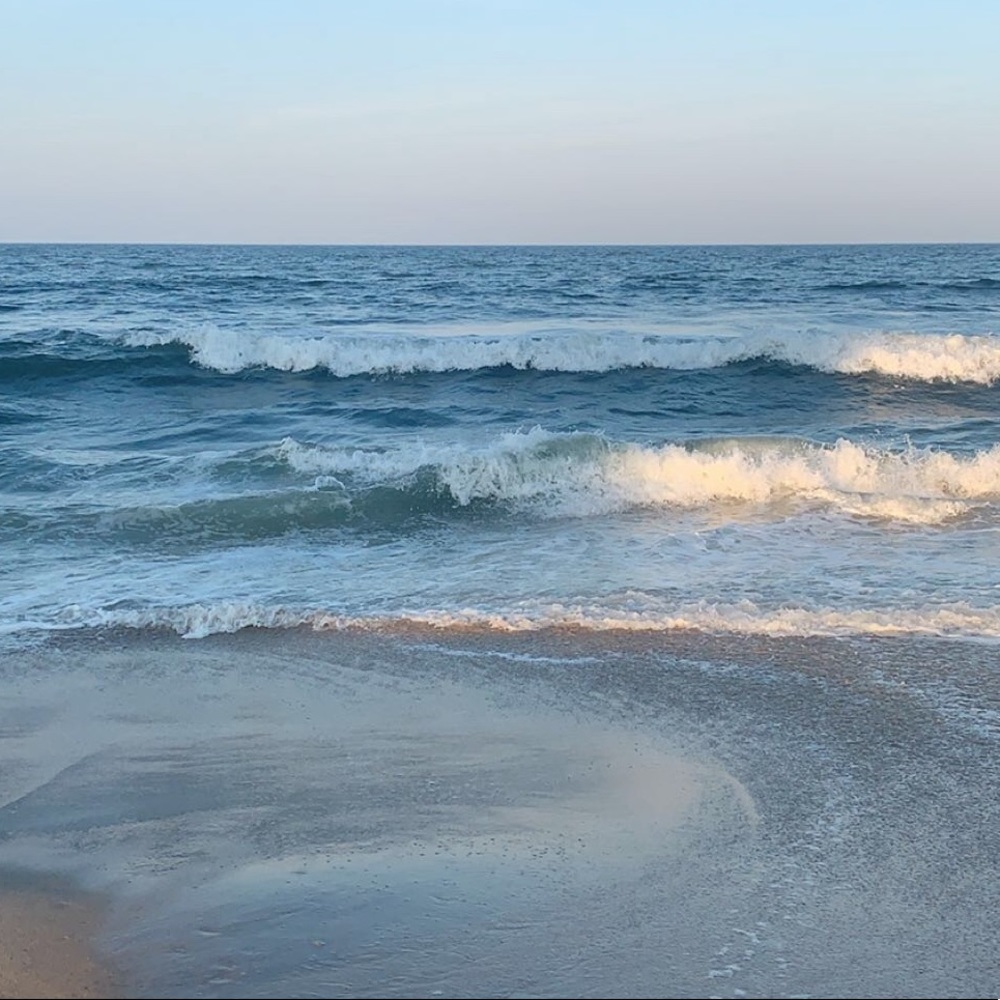 Meet your Posher, Shelly